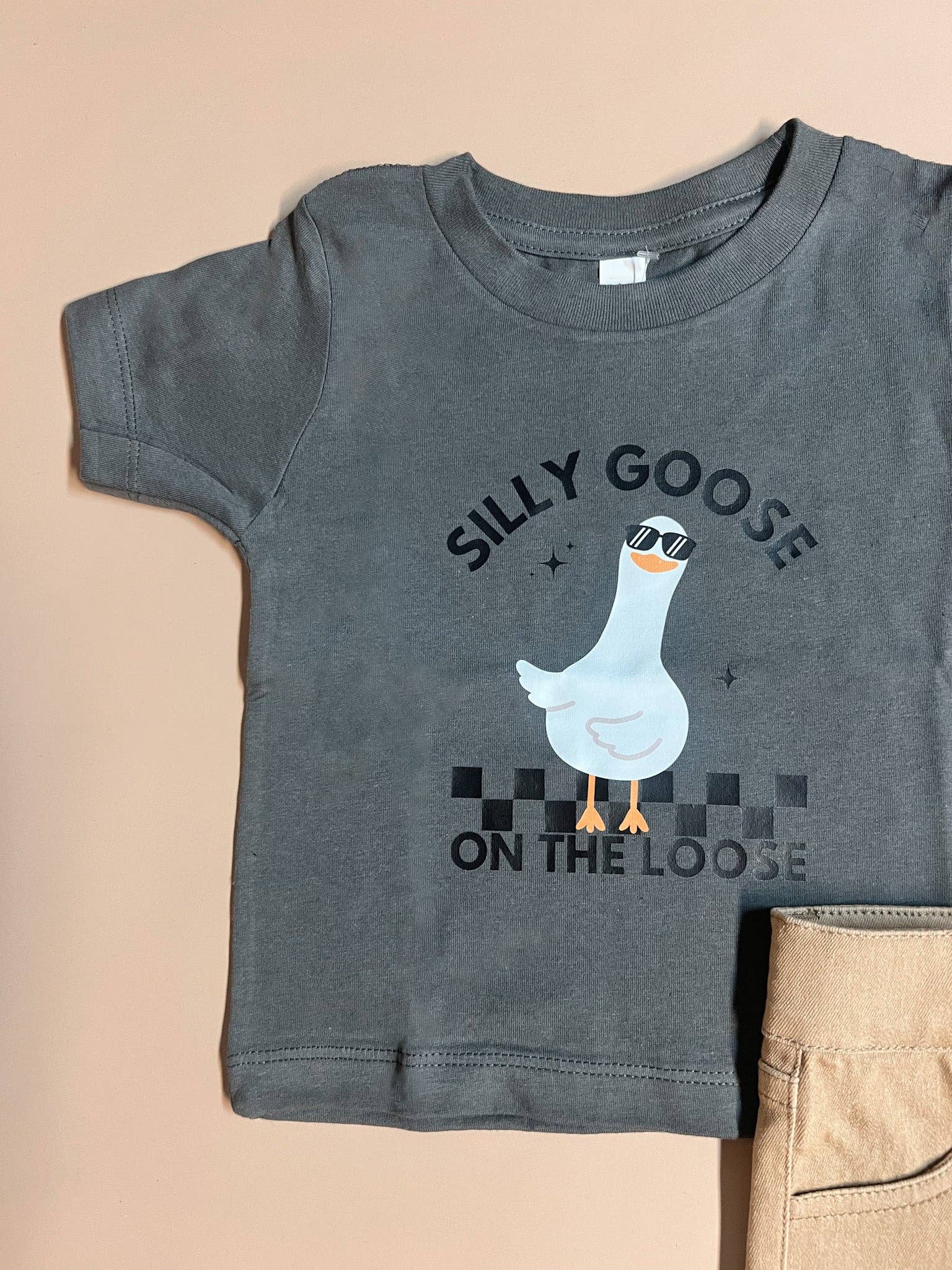 Gray t-shirt with a goose graphic and text on a beige background